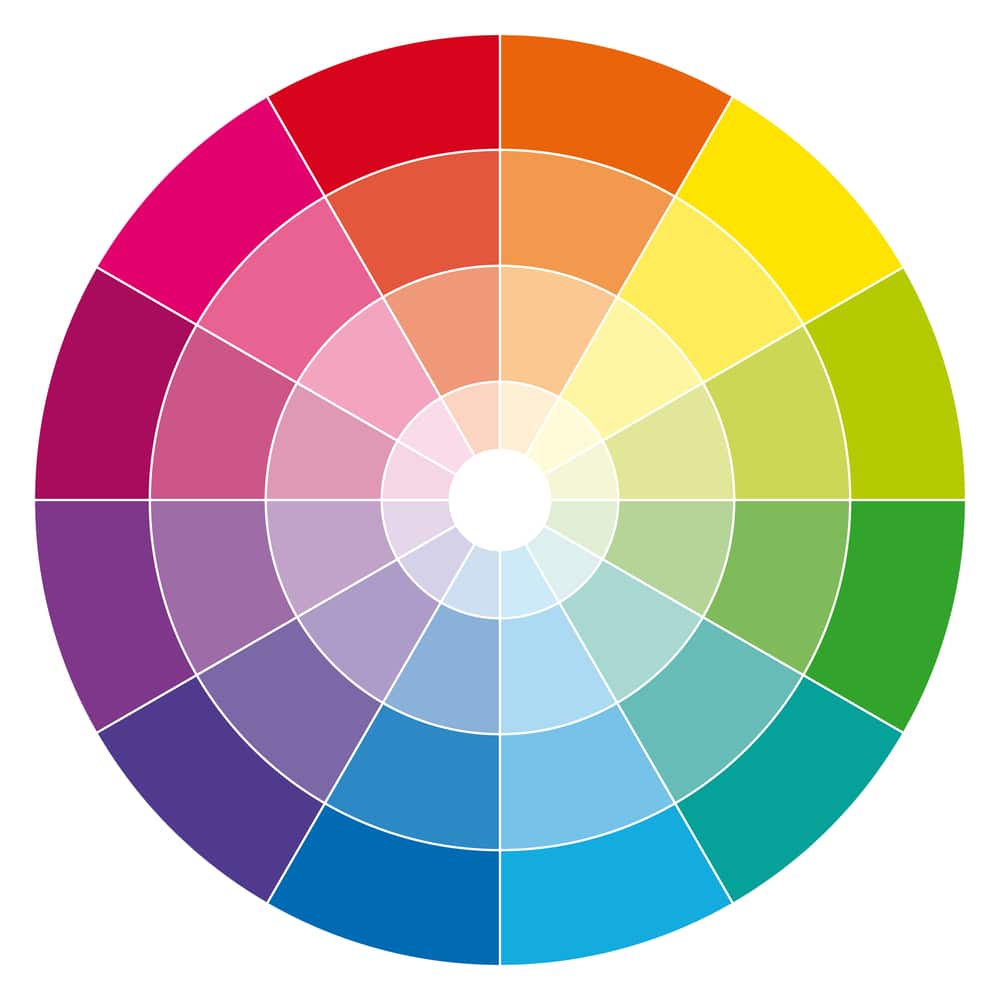Popular Primary and Secondary Focus Colors Used for Websites