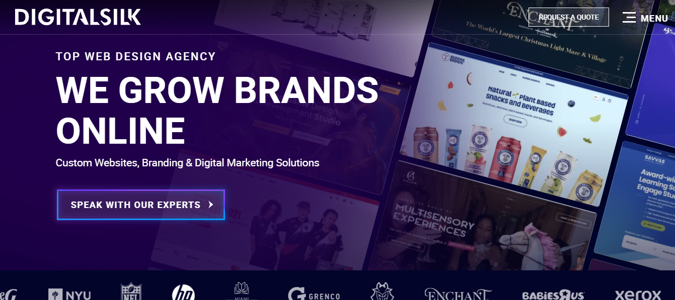 website design companies in USA