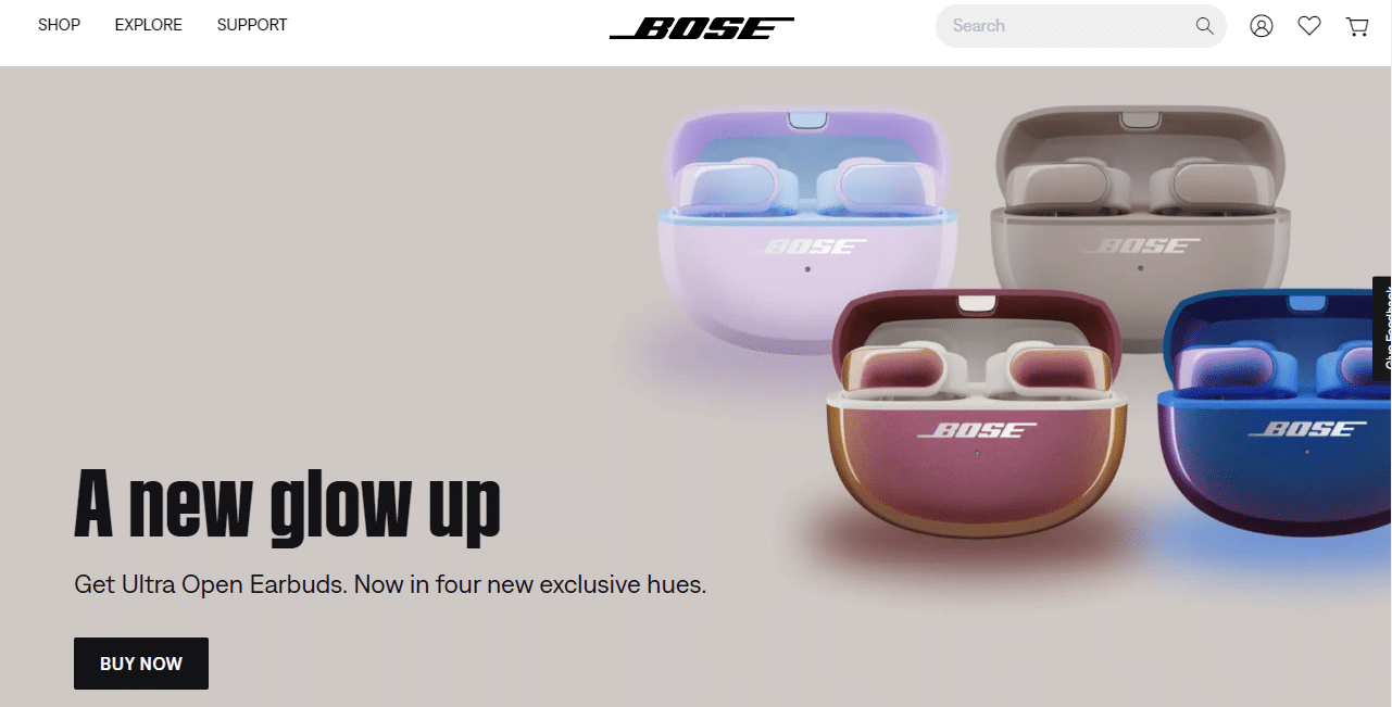 What is the most successful ecommerce website?