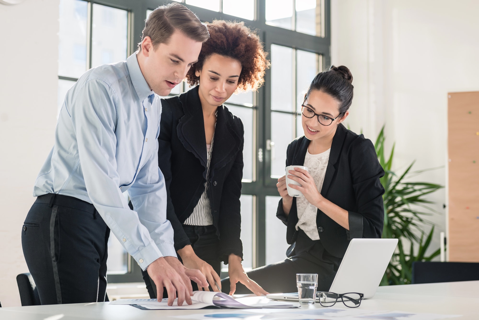 adobe business catalyst (bc) alternative