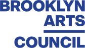 brooklyn arts council - top notch dezigns