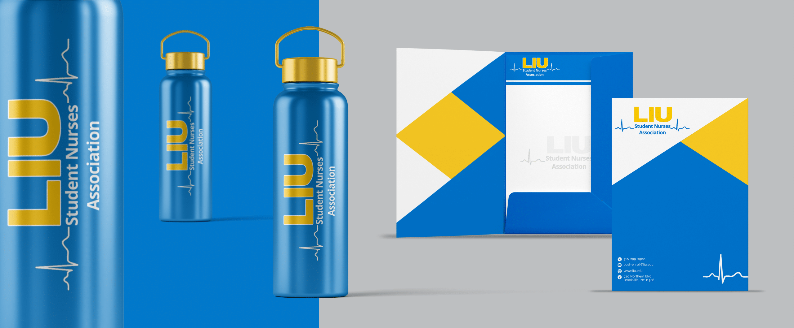 Long Island University Branding