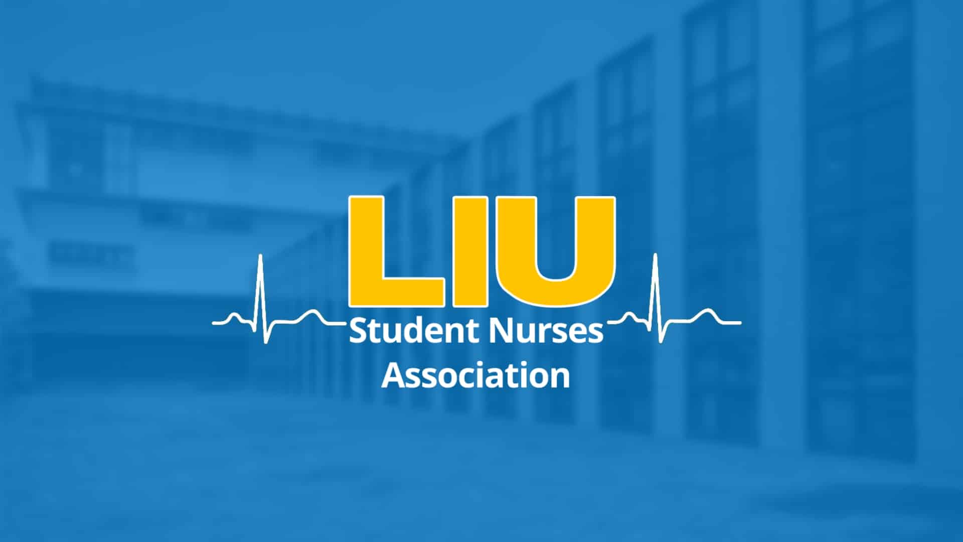 long island university-student nurse association banner