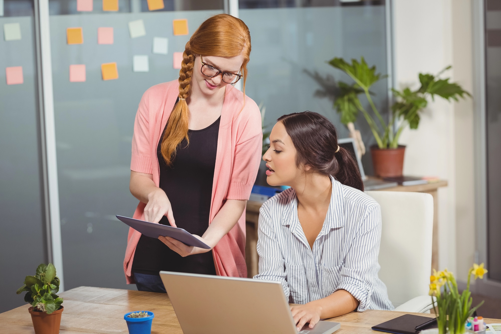 software development quality assurance tester