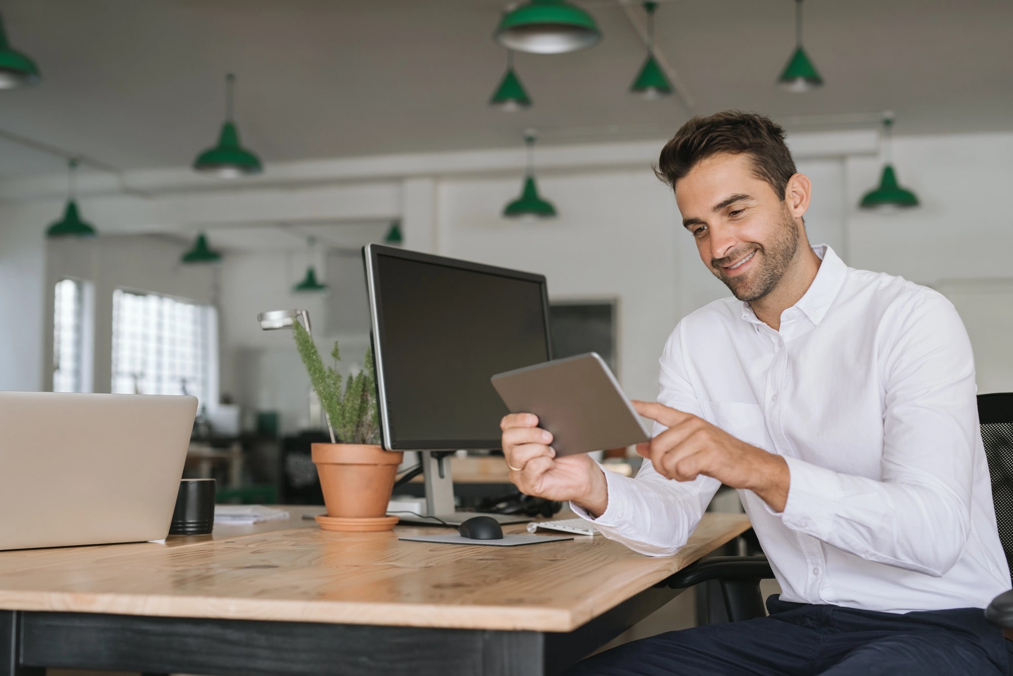 web development and mobile app development